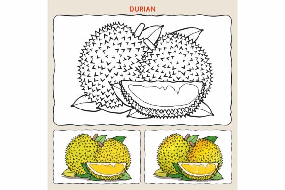 Durian Coloring Pages: A Graphic Designer's Review for Brand Campaigns